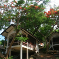 Moon Paradise Bungalows 