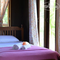 CatZ Rasta Hostel 