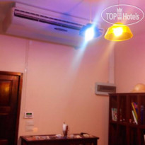 CatZ Rasta Hostel