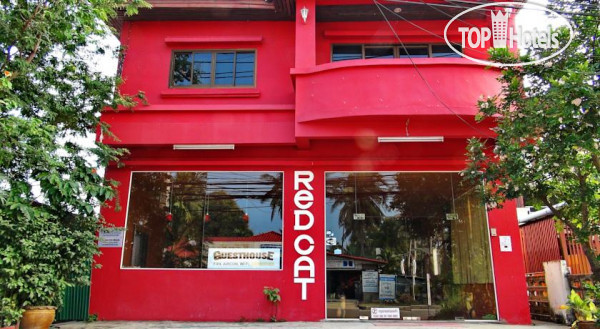 Hotel photo Red Cat Guesthouse 2*