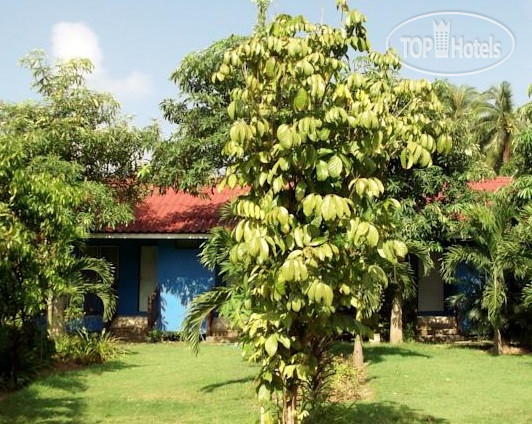 Hotel photo Orchard House 3*