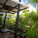 Mangrove Villa Территория отеля