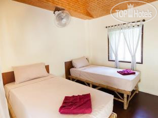 New photos from tourists Shiralea Backpackers Resort 2*