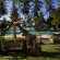 Dewshore Resort 