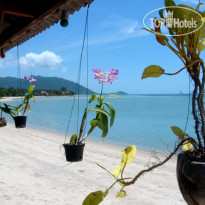 Coco Garden Resort