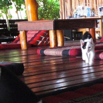 Coco Garden Resort