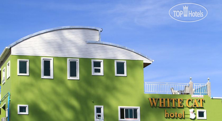 Hotel photo White Cat 2*