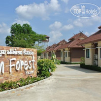 Boom Forest Resort 