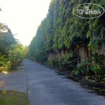Palm Chalet Resort 