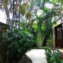 Bann Baimai Boutique Room Территория отеля