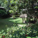 Golden Hut Guesthouse 