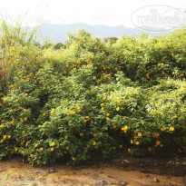 Pai Talay Guesthouse 