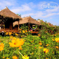 Villa De Pai 