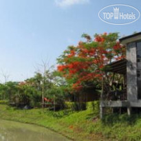 Pai Laguna
