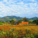 Pai Laguna 