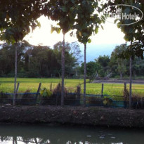Pai Porpeang Guesthouse 