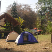 Jungle Zone Территория отеля