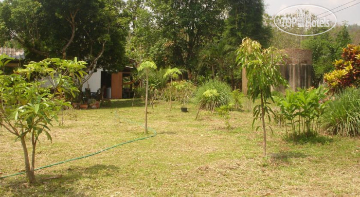 New photos from tourists Jungle Zone 1*