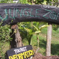 Jungle Zone 