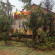 Sukhothai Indy Resort 