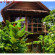 Castaway Beach Resort 