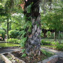 Pinnacle Satun Wangmai Hotel 