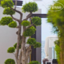 Aava Resort & Spa