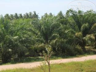 New photos from tourists Palm Hill Resort 2*