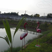 Tokyo Country Inn 