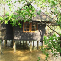 Banpu Resort & Spa
