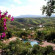 Phu Pha Nam Resort 