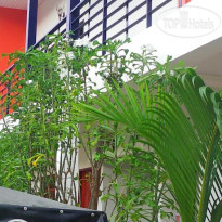 Runa Runa The Best Guesthouse 