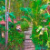 The Lost Resort Территория отеля