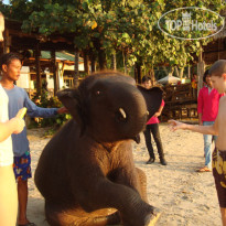 Kai Bae Beach Resort Прогулка на слонах