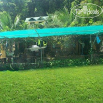 Island Lodge 