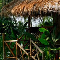 Tolani Resort Koh Kood  