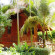 Good Time Resort 