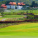 The Banyan Golf Club 