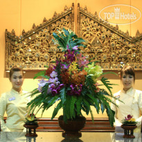 Chiang Mai Orchid