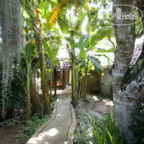 Eco Resort Chiang Mai 