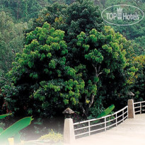 Mae-Sa Valley Resort