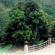 Mae-Sa Valley Resort 