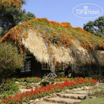 Mae-Sa Valley Resort