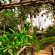Royal Ping Garden & Resort 