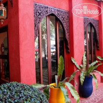Sheik Istana 
