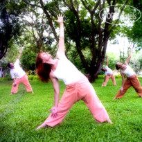 The Spa Resort Chiang Mai 