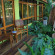 VC Suanpaak Hotel & Serviced Apartments 