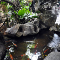 Thannatee Boutique Hotel Территория отеля