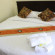 Baanpordee Guesthouse 