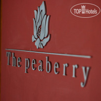 The Peaberry Chiangmai 